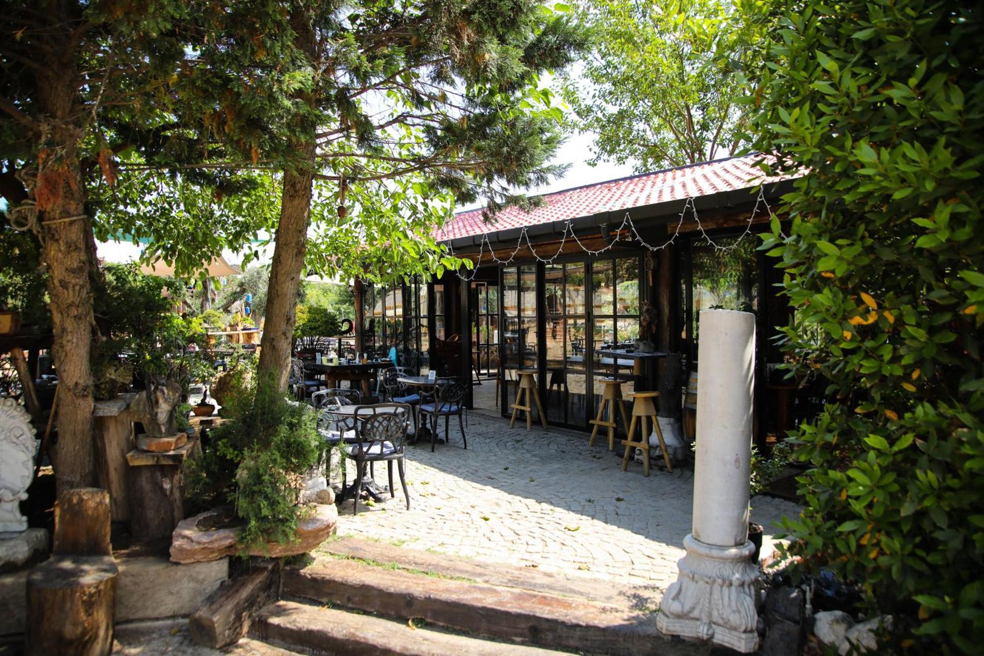 Mavi At Hotel Blue Horse Gumusdere Zewnętrze zdjęcie