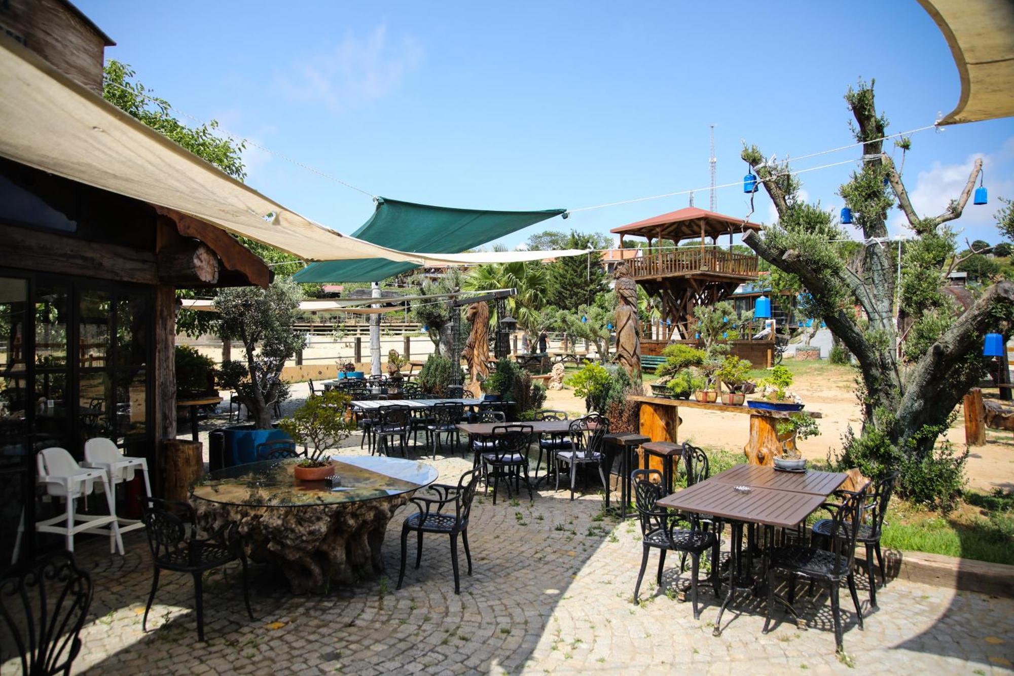 Mavi At Hotel Blue Horse Gumusdere Zewnętrze zdjęcie