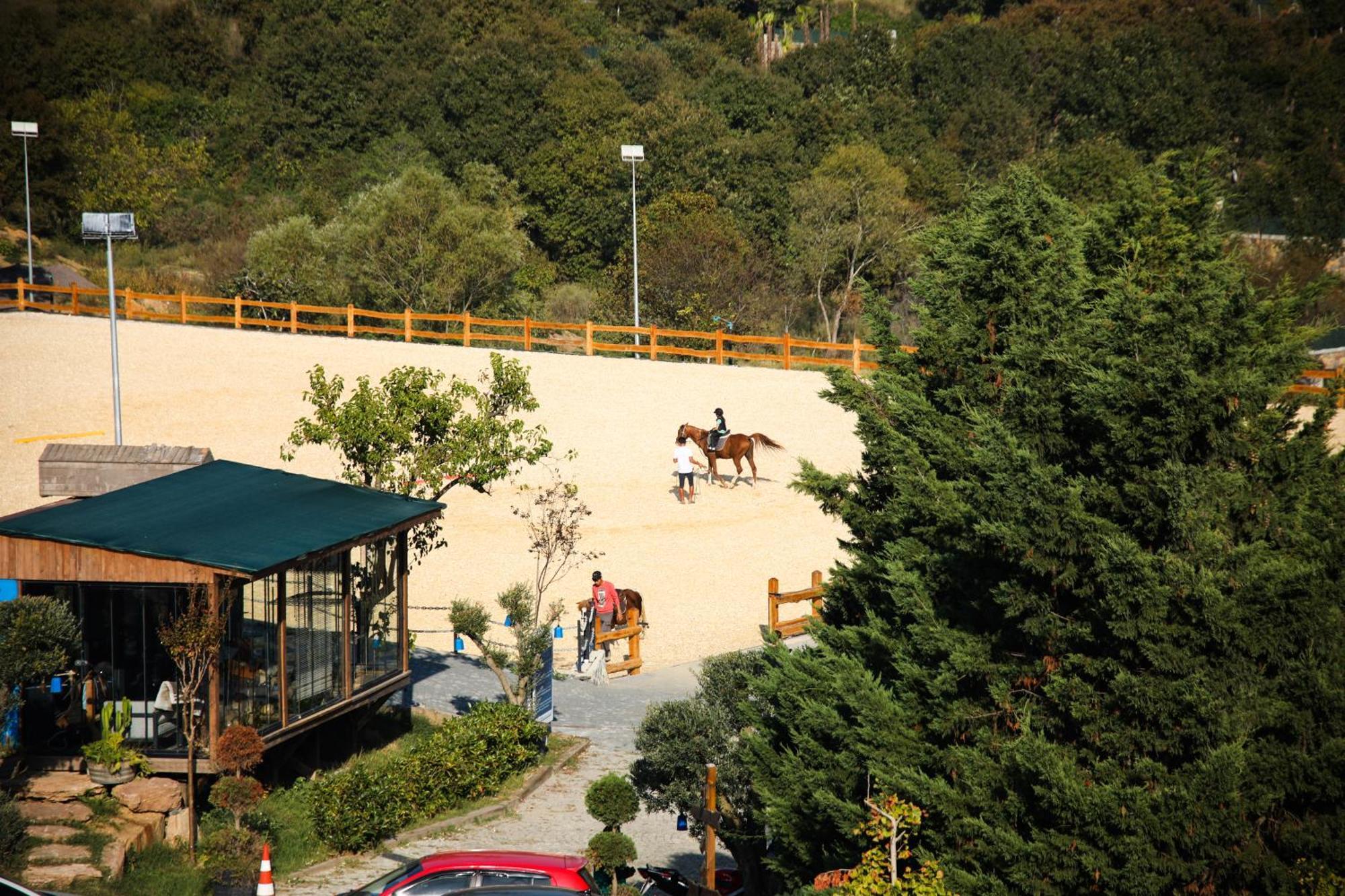 Mavi At Hotel Blue Horse Gumusdere Zewnętrze zdjęcie